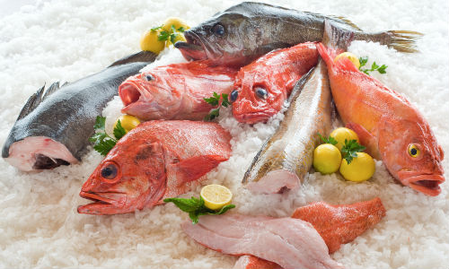 Seafood Company bringing you the treasures from the sea | Ajman 