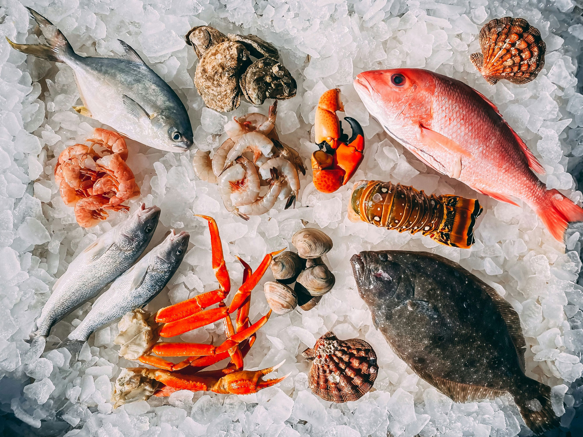 Basket of fresh seafood