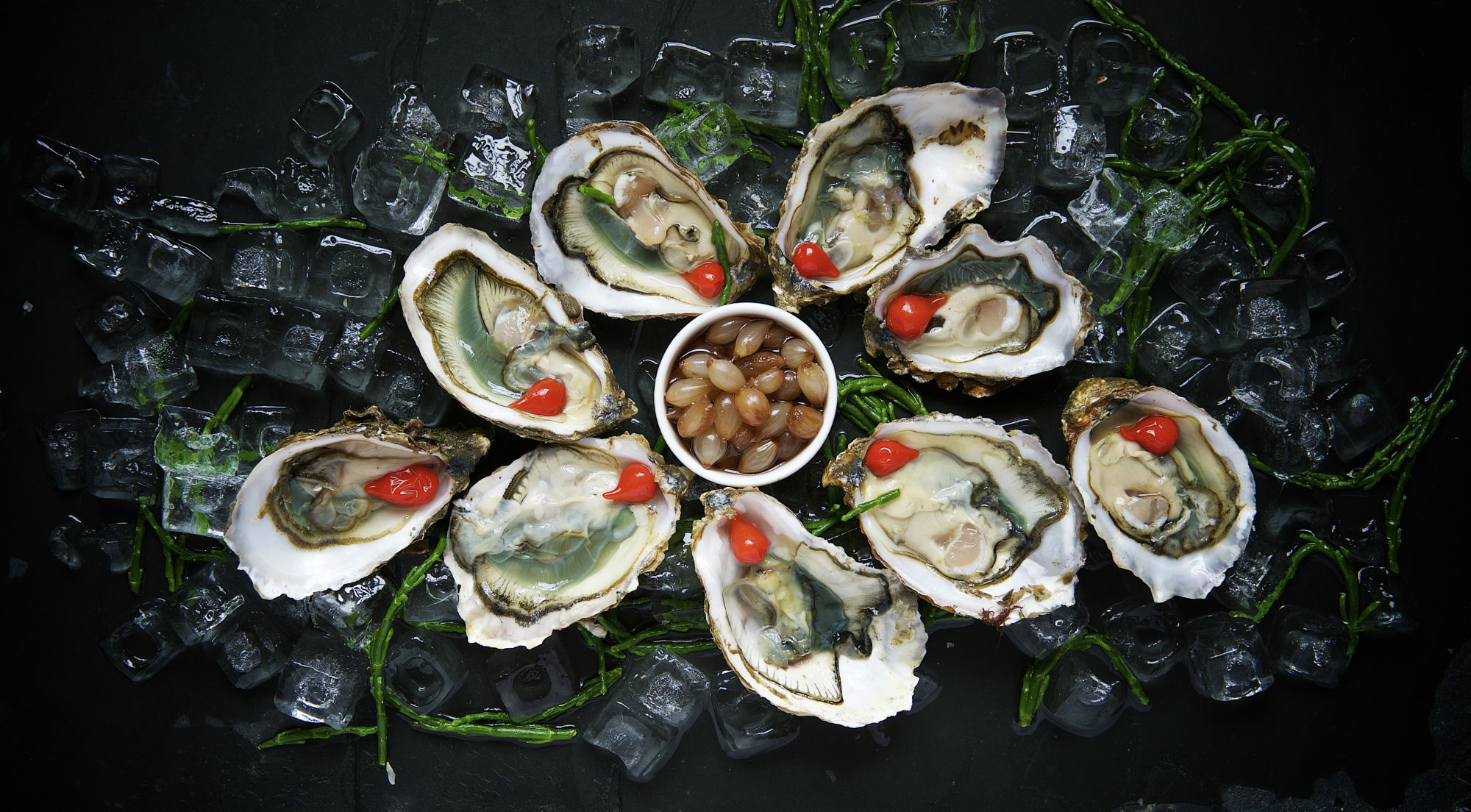 Oysters & Mollusks